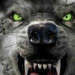 Валерий Шагов