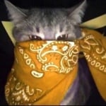 Алексей Рыбаков