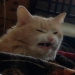 Влад Трофименко