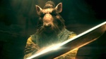 Splinter