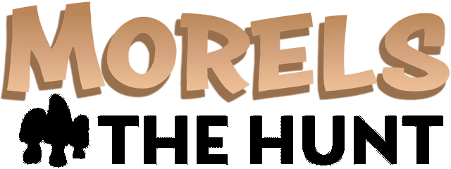 Логотип Morels: The Hunt