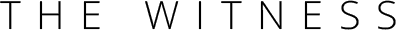 Логотип The Witness