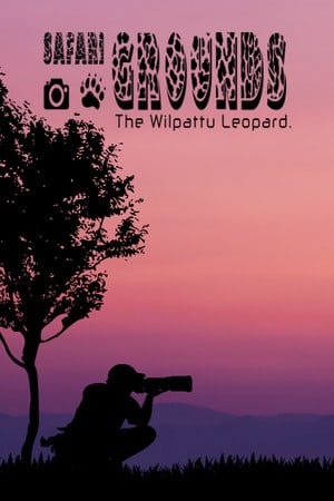 Safari Grounds - The Wilpattu Leopard