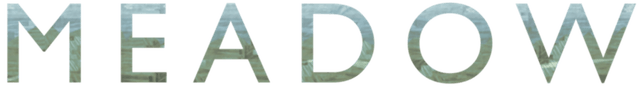 Логотип Meadow