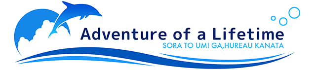 Логотип Adventure of a Lifetime