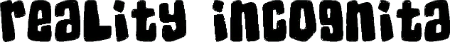 Логотип Reality Incognita