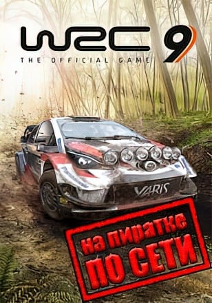 Версия WRC 9 FIA World Rally Championship по сети