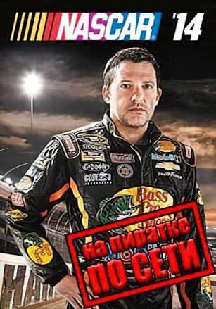 Версия NASCAR 14 по сети