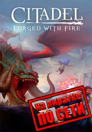 Версия Citadel: Forged with Fire по сети