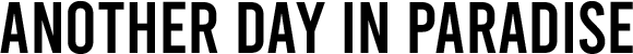 Логотип Another Day in Paradise