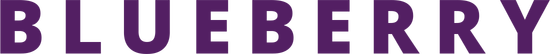 Логотип Blueberry