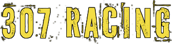 Логотип 307 Racing