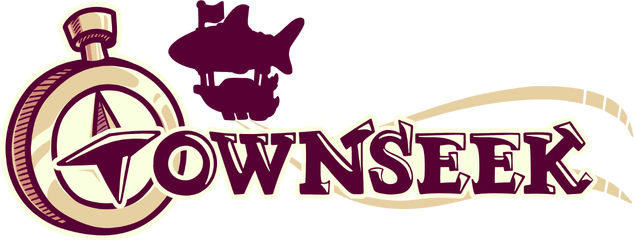 Логотип Townseek