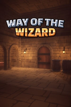 Way of the Wizard