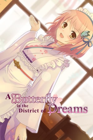 A Butterfly in the District of Dreams