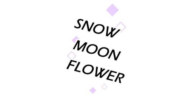 Логотип Snow Moon Flower