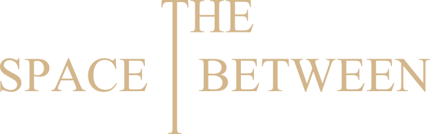 Логотип The Space Between