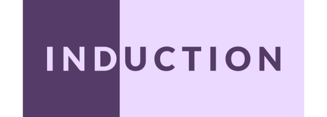 Логотип Induction