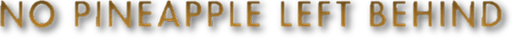 Логотип No Pineapple Left Behind