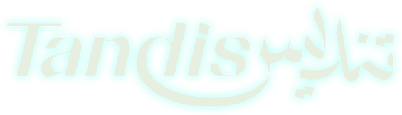 Логотип Tandis
