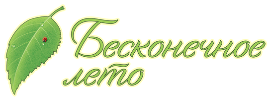 Логотип Everlasting Summer