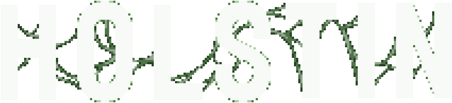 Логотип Holstin