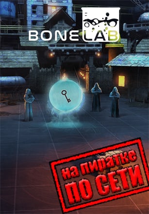 Версия BONELAB по сети