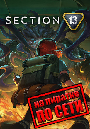 Section 13