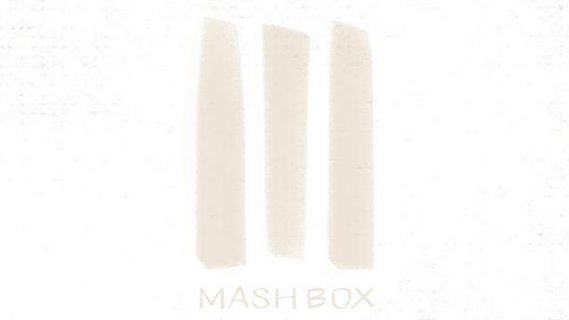 Логотип Mash Box