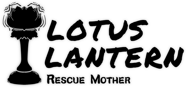 Логотип Lotus Lantern: Rescue Mother