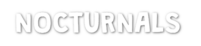 Логотип Nocturnals