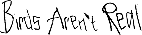 Логотип Birds Aren't Real