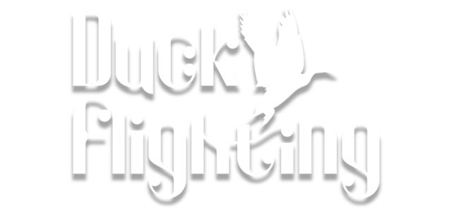 Логотип Duck Flight Simulator 2021