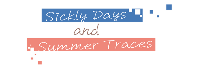 Логотип Sickly Days and Summer Traces