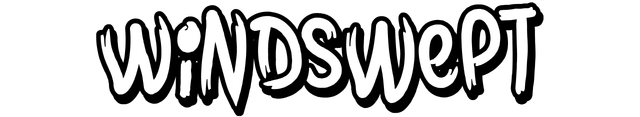 Логотип Windswept