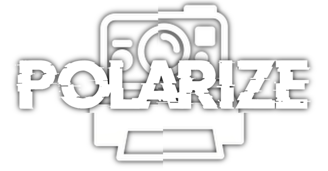 Логотип Polarize