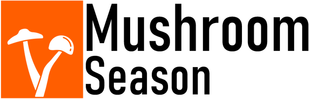 Логотип Mushroom Season