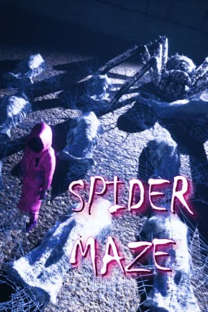 Spider Maze