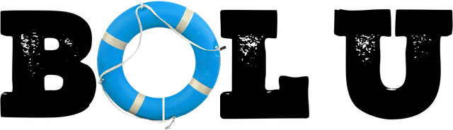 Логотип Bolu