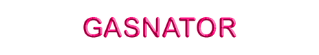 Логотип Gasnator