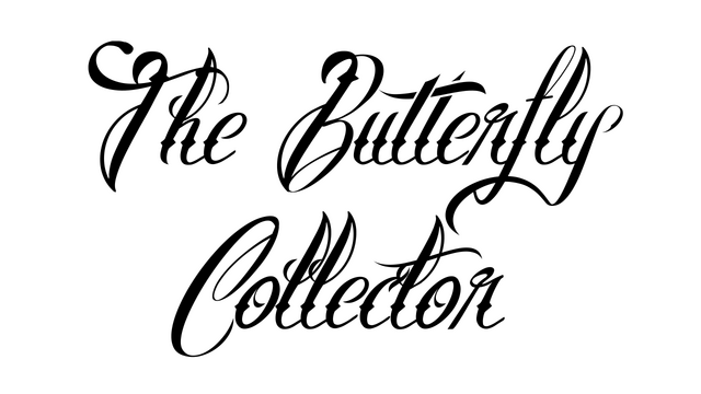 Логотип The Butterfly Collector
