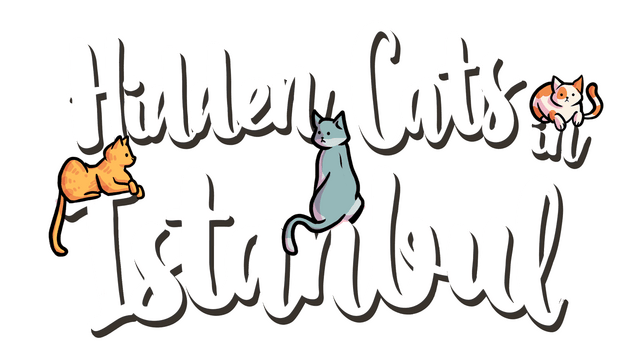 Логотип Hidden Cats in Istanbul