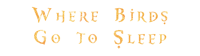 Логотип Where Birds Go to Sleep