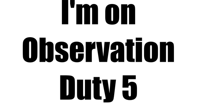 Логотип I'm on Observation Duty 5