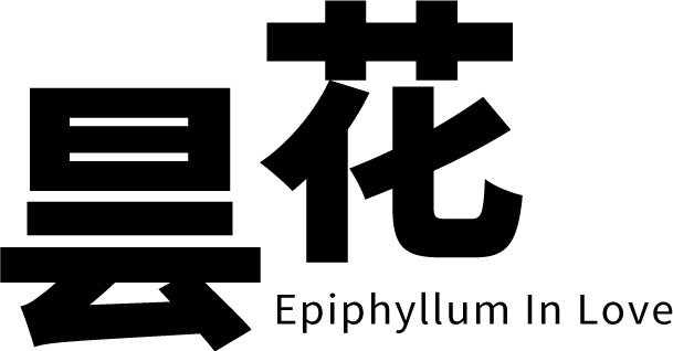 Логотип Epiphyllum in Love