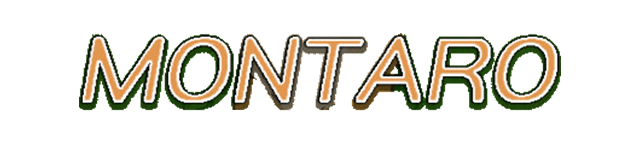 Логотип Montaro