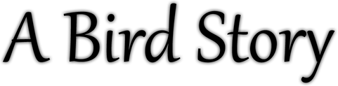 Логотип A Bird Story