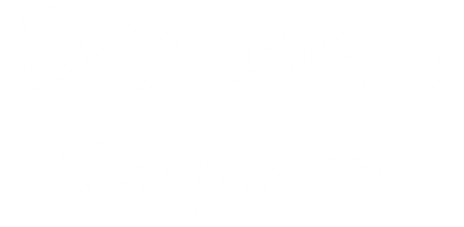 Логотип Wooden Ocean