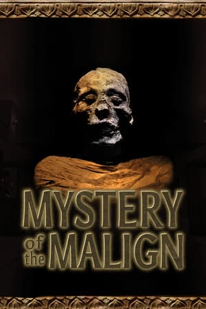 Mystery of the Malign