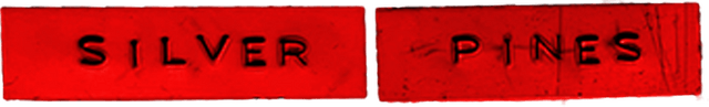 Логотип Silver Pines